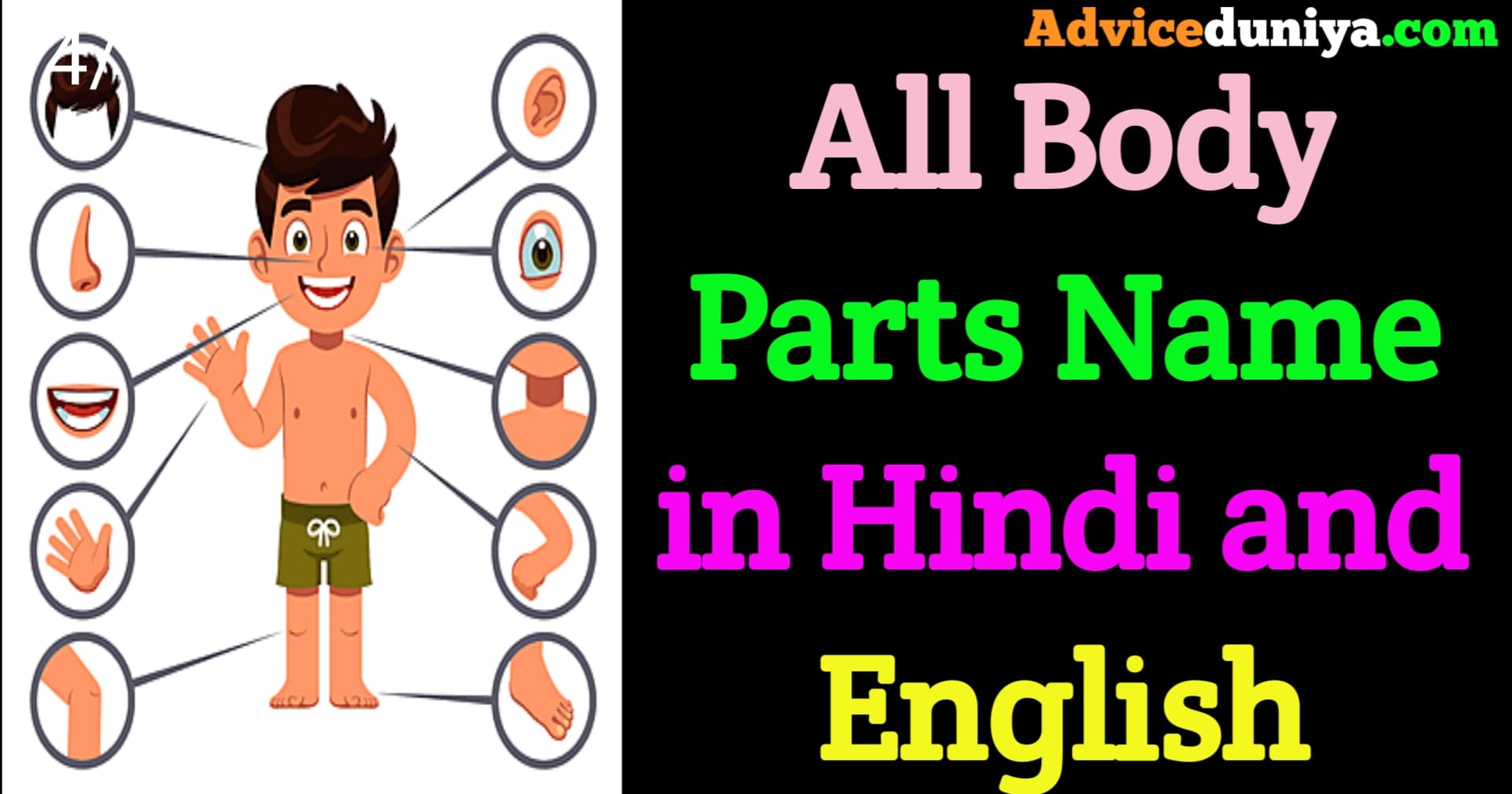 Body Parts name in hindi